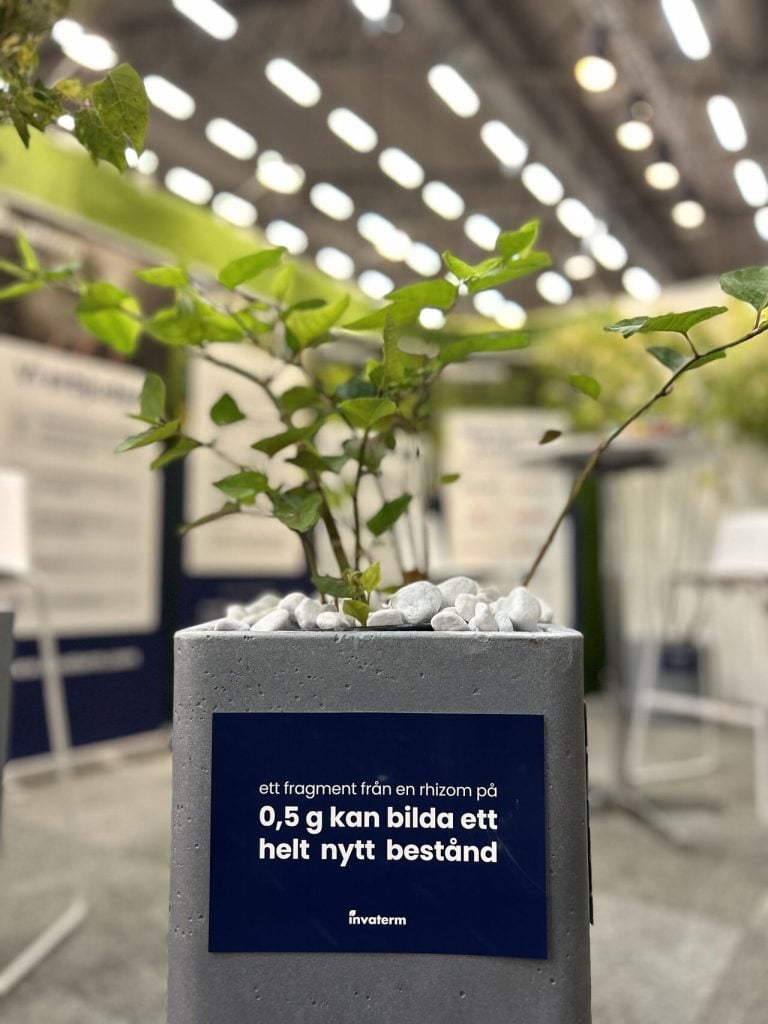 Bild från mässa