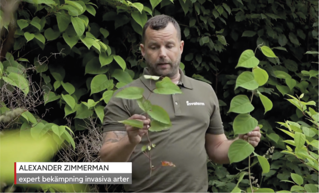 Alexander Zimmerman från Invaterm i TV4 Nyheterna