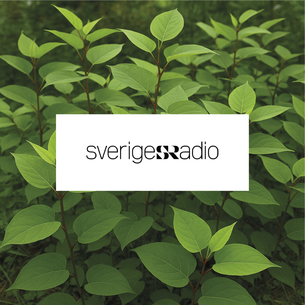Invaterm i Sveriges radio