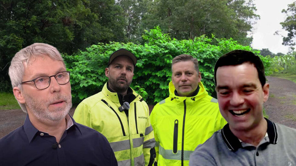 Peter Dalin, Alexander Zimmerman, Jonas Örnborg och dr Daniel Jones pratar om bekämpning av parkslide.