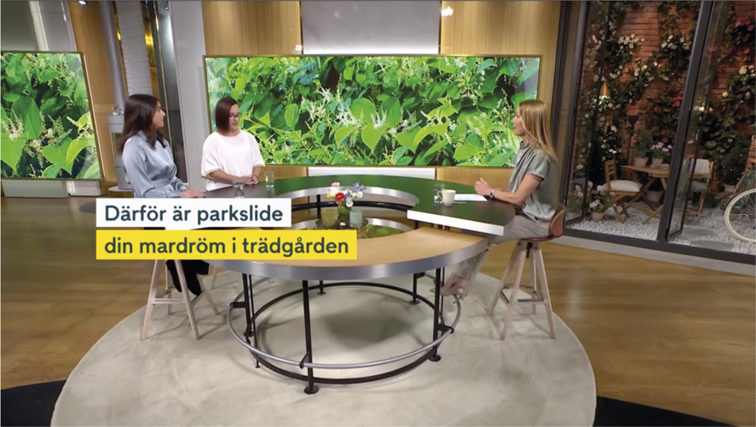 Panel diskuterar om hur parkslide förstöra ditt hus i TV4 Nyheter.